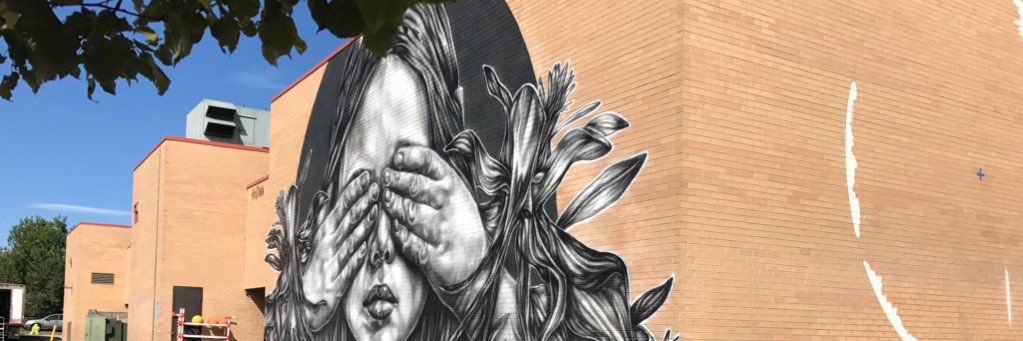 OfeSchep's profile banner image