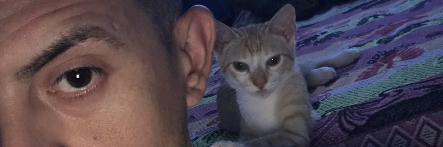 necochencegay's profile banner image
