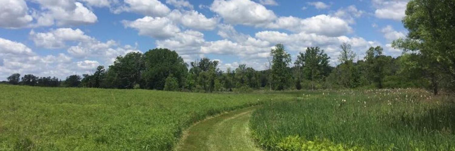 InghamConsDist's profile banner image