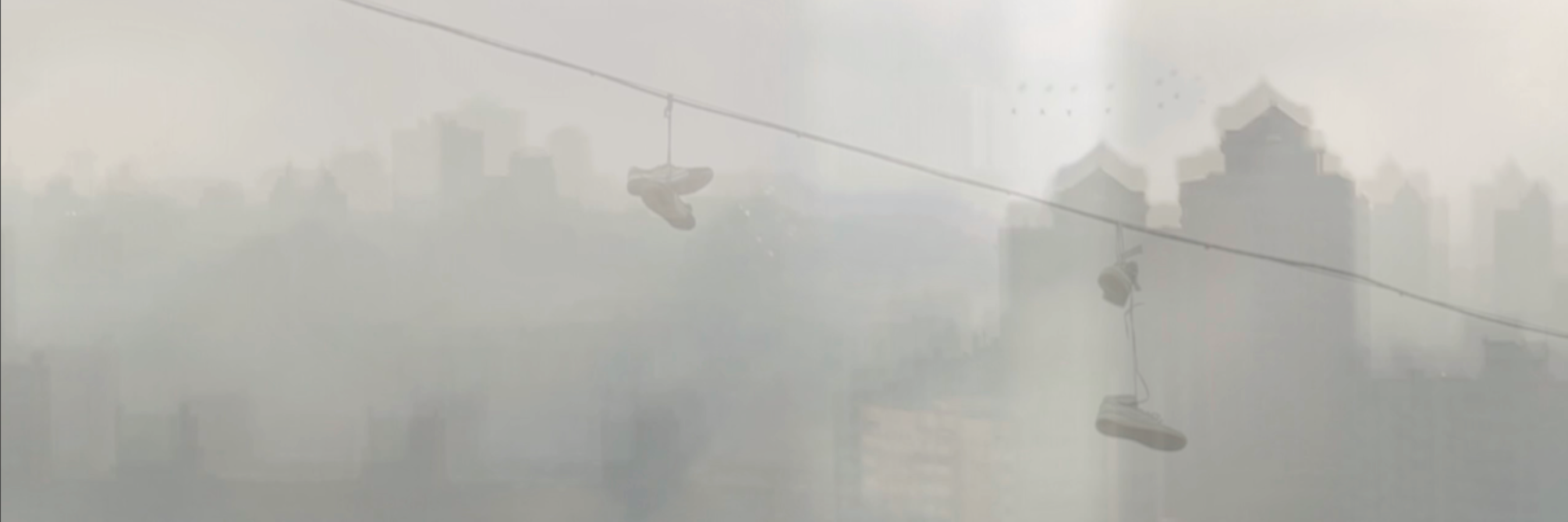 belayev's profile banner image
