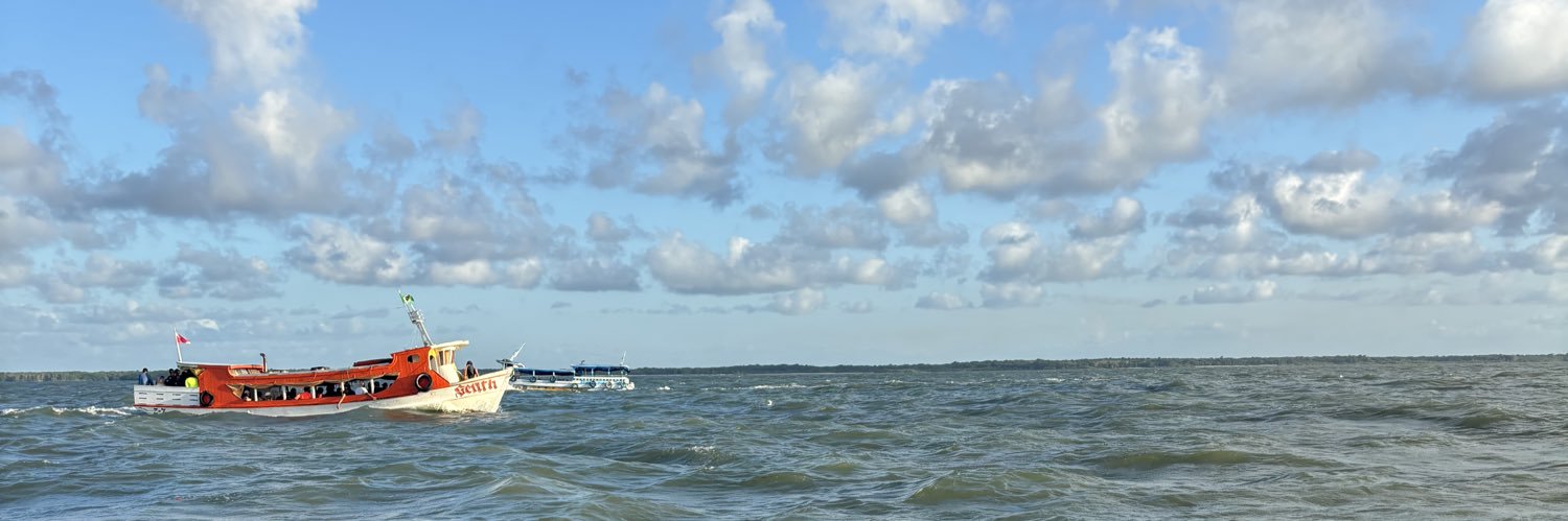 eu banner