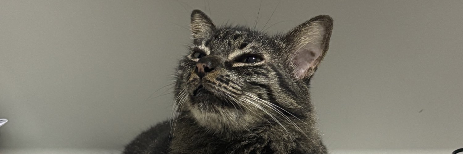 thuellly's profile banner image