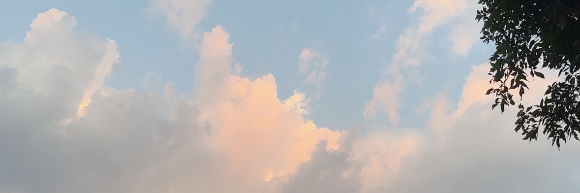 danielanaude's profile banner image