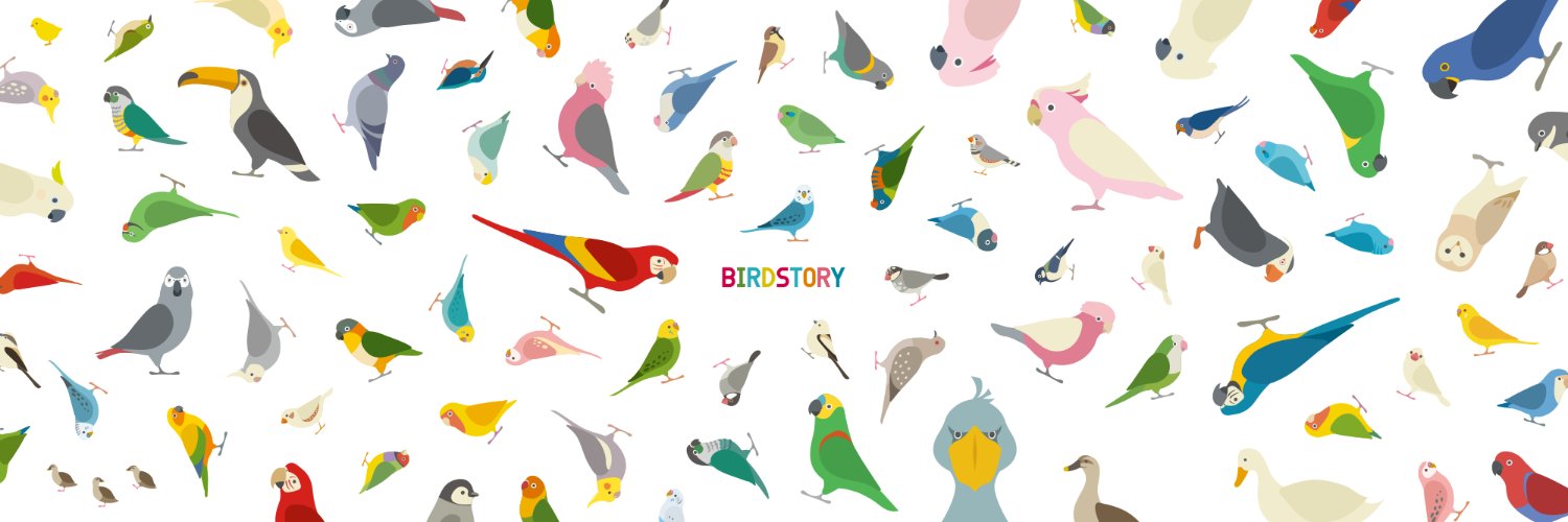BIRDSTORY's banner