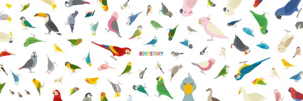 Birdstory_pic Profile Banner