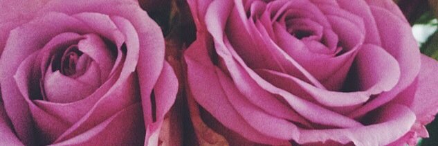 LindsBallantine's profile banner image