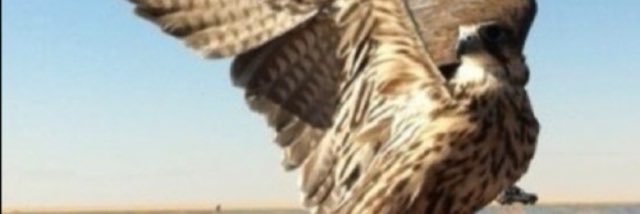 rffm74's profile banner image