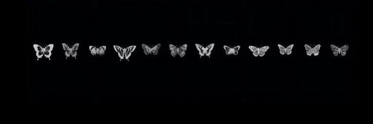 Vicky_Coccitto's profile banner image