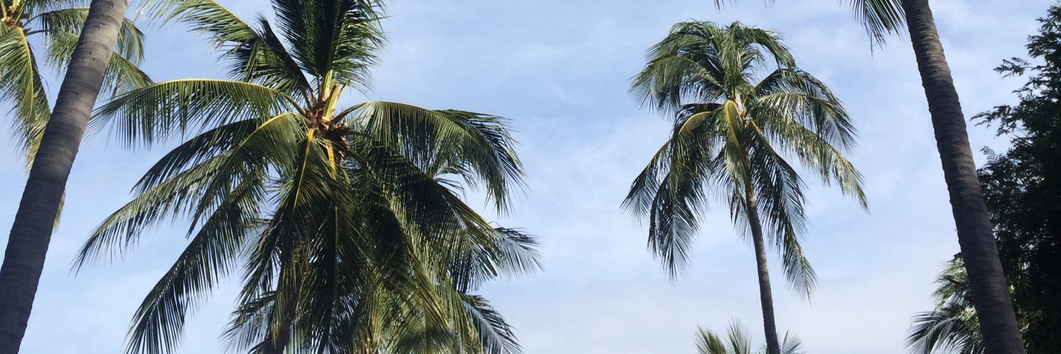 SarrraG's profile banner image