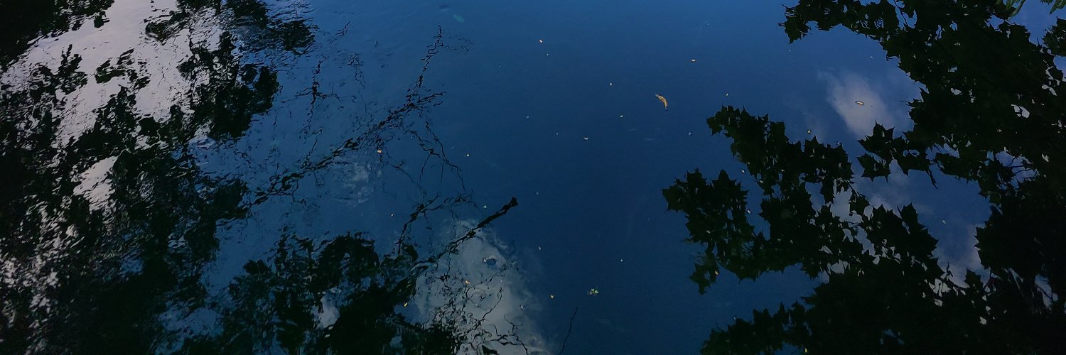 raeven__'s profile banner image