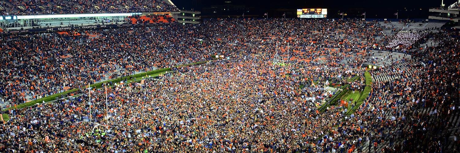 Auburnite banner