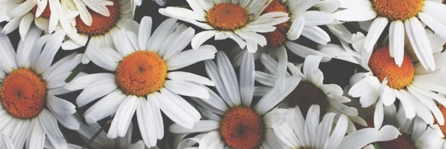 cstevison's profile banner image