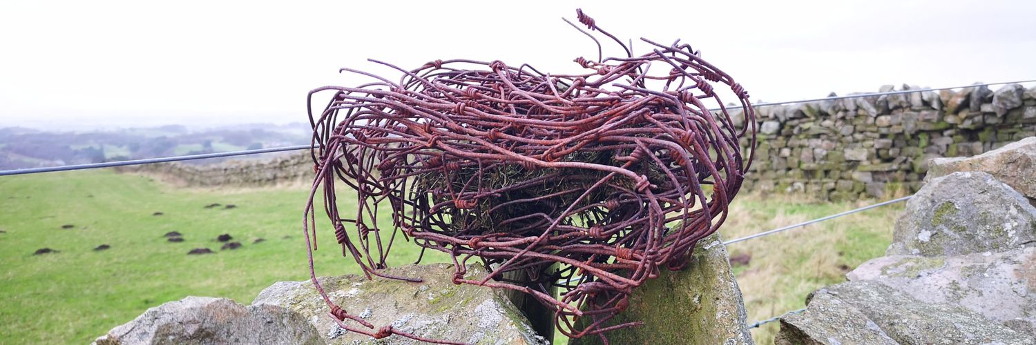 Sheila (Bounford) Pinder banner