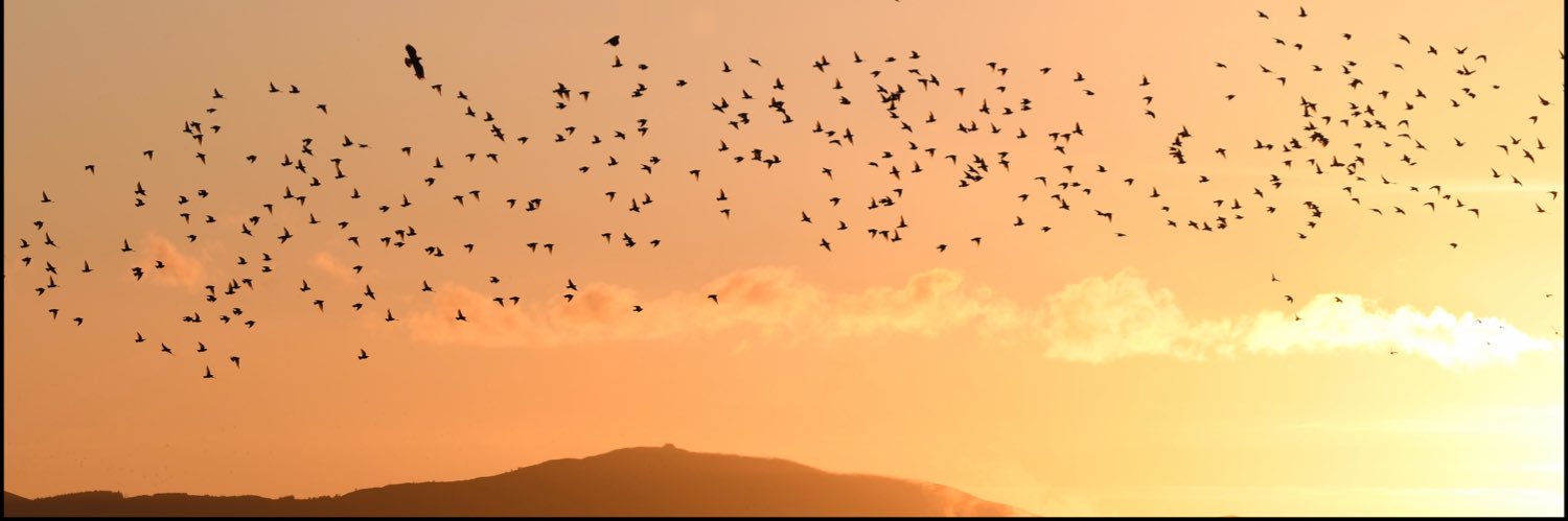 John Sharp 🕷🇬🇧🇪🇺 🚀 🏴‍☠️🐈🚂 banner