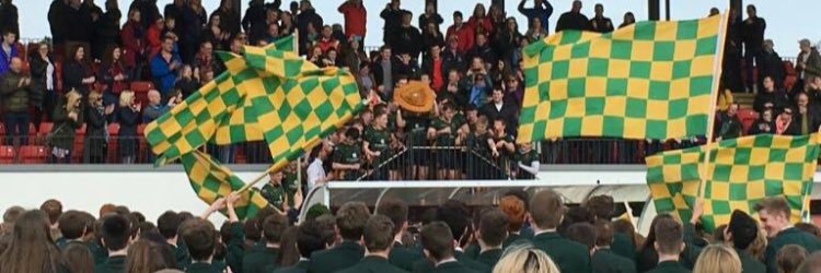 Ronan Patterson banner
