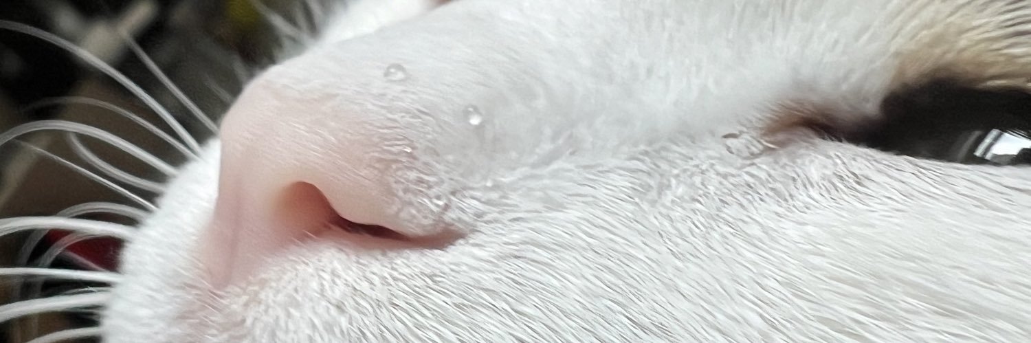 aleybyram's profile banner image