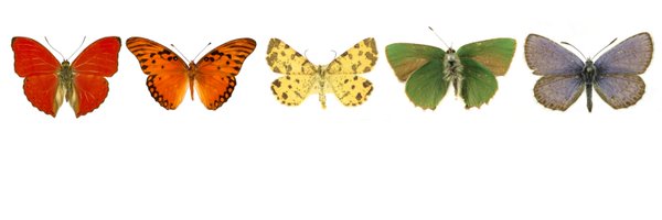 DisplayNom Profile Banner