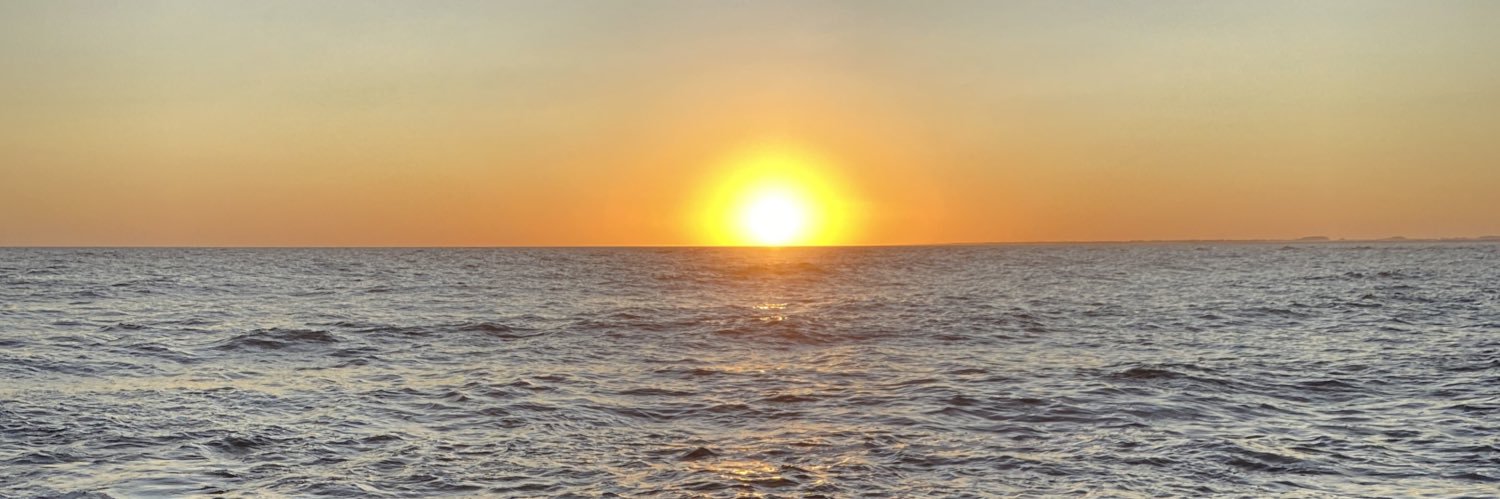 Natalia Lluberas banner