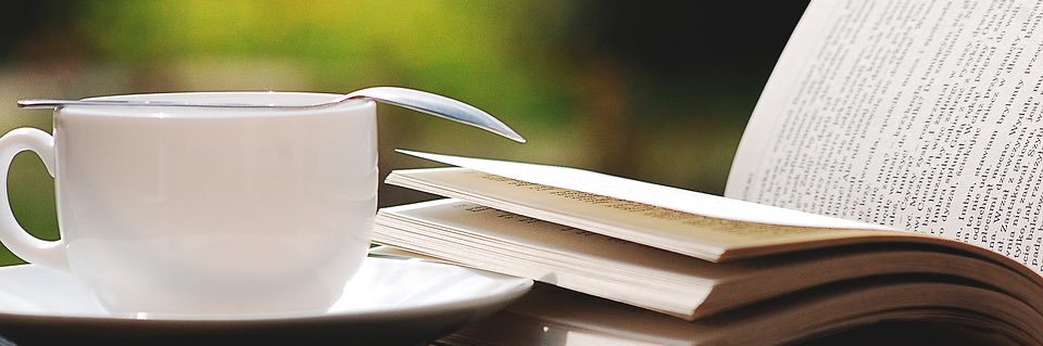 Peter André Busch banner