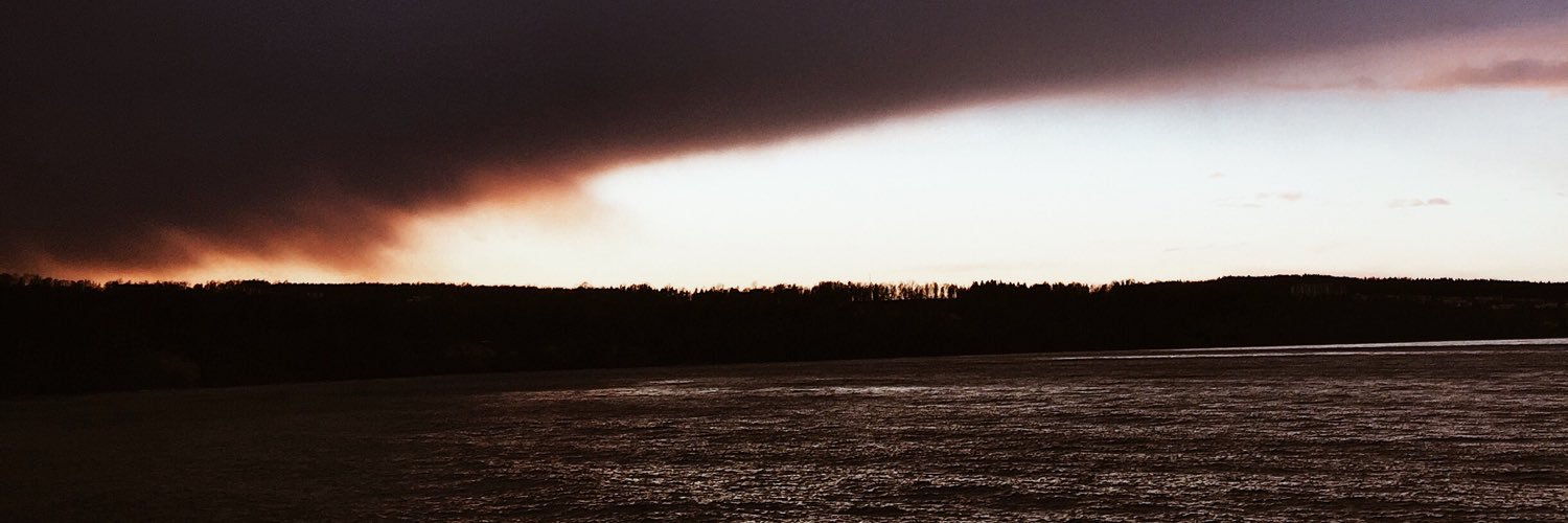 wilmaabb's profile banner image