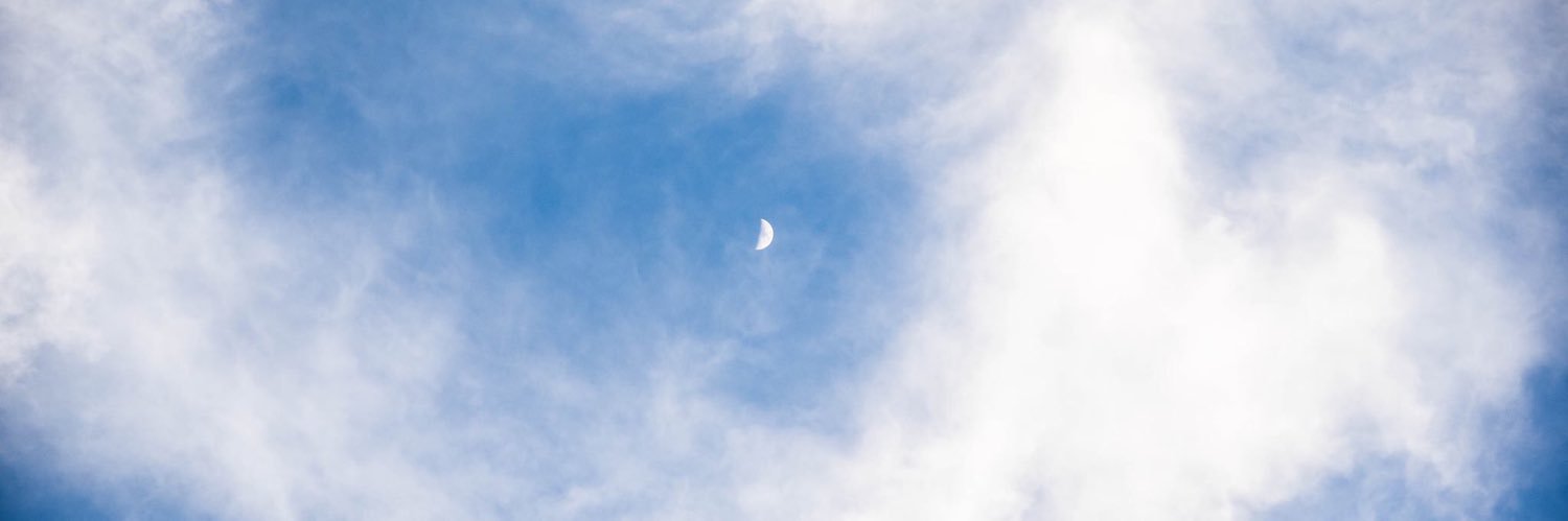 anabelem1113's profile banner image