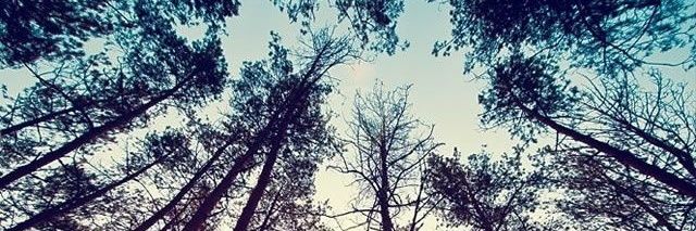michell_acuna99's profile banner image