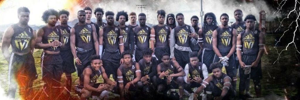 Pro Impact Sports banner