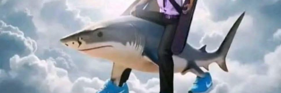 crvlhow's profile banner image