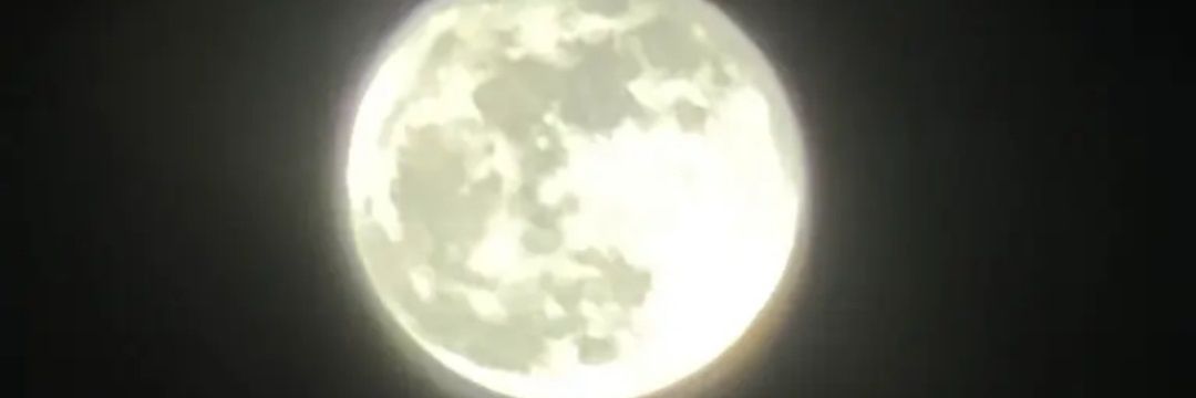amharid's profile banner image