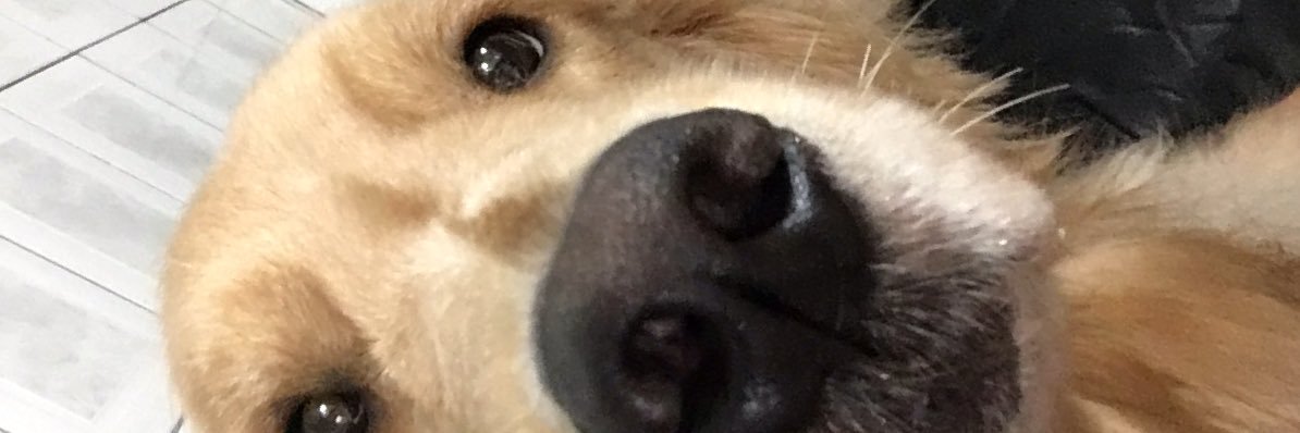 michelefernand's profile banner image