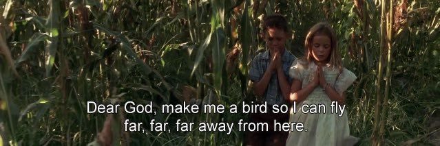 วุ้นEverywhere Anywhere not Thailand banner