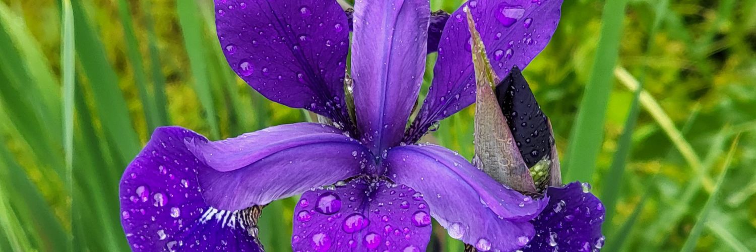 tbailey154's profile banner image