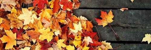 VictoriaBojda's profile banner image