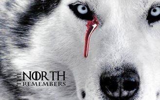 cognomen's profile banner image