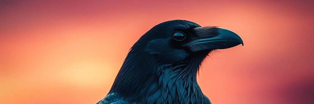 Big_RawDaddy's profile banner image
