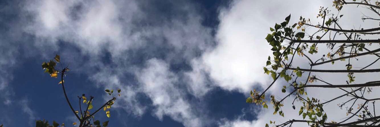 d_barttt's profile banner image
