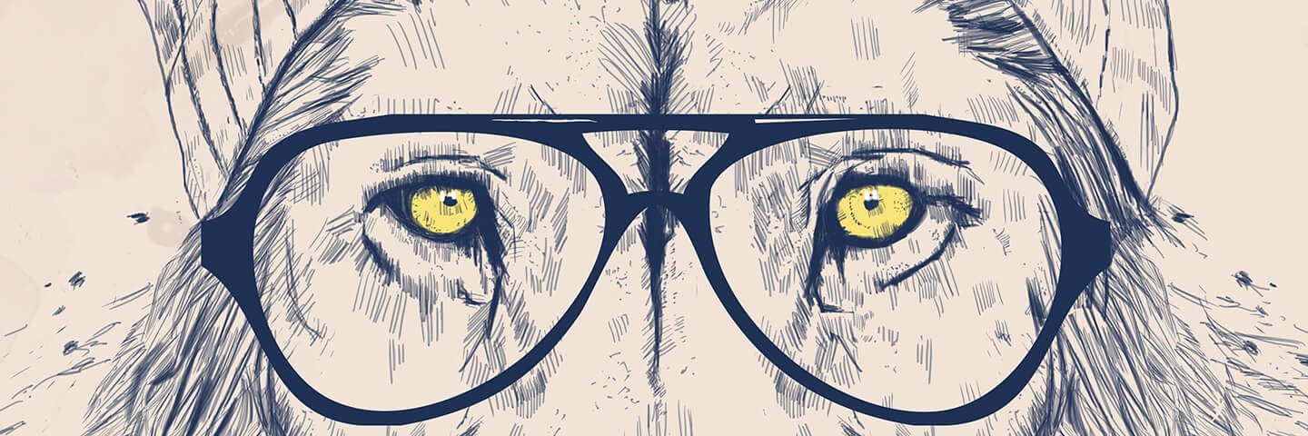povealdo's profile banner image