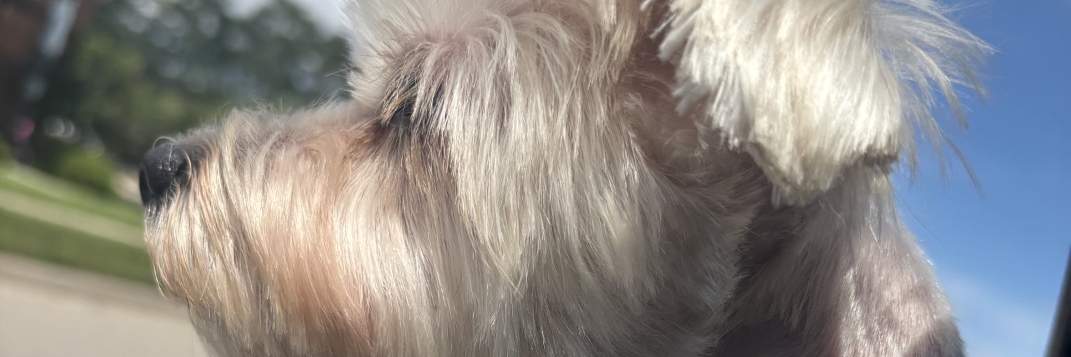 shawnze24's profile banner image