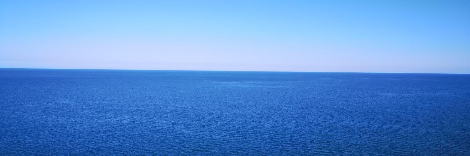 Damien Fitzpatrick banner