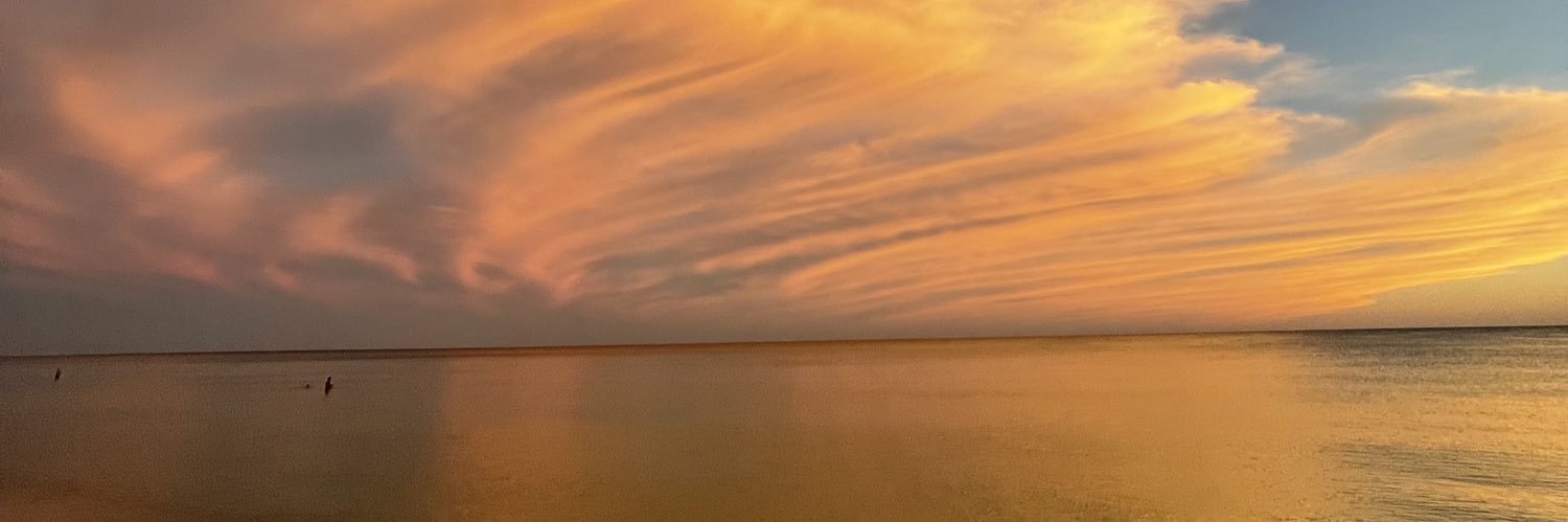 Ringis_'s profile banner image