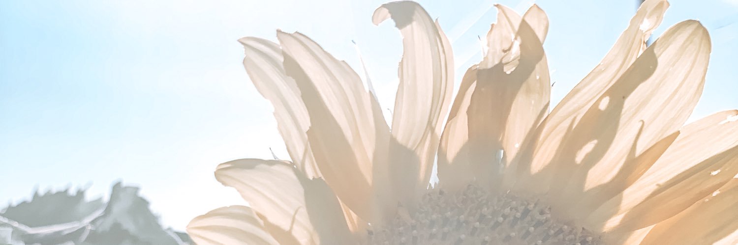 Hey_Its_Tayy's profile banner image