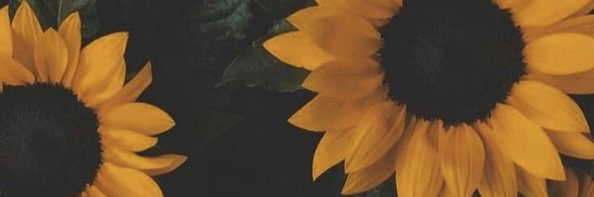Kimberlykyrsa's profile banner image