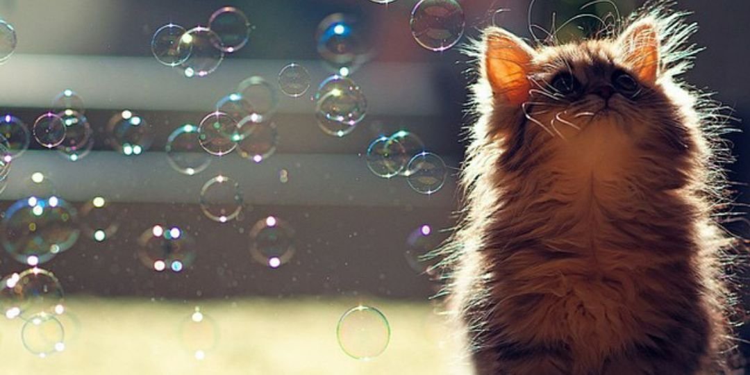 sanxandre's profile banner image