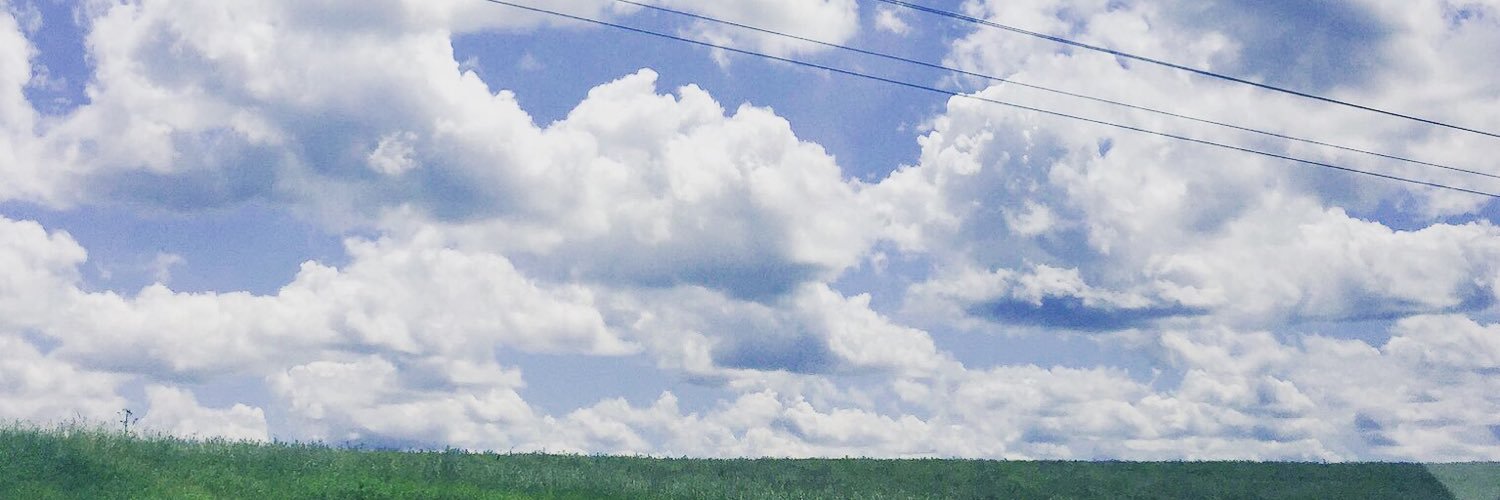 sarahvos's profile banner image