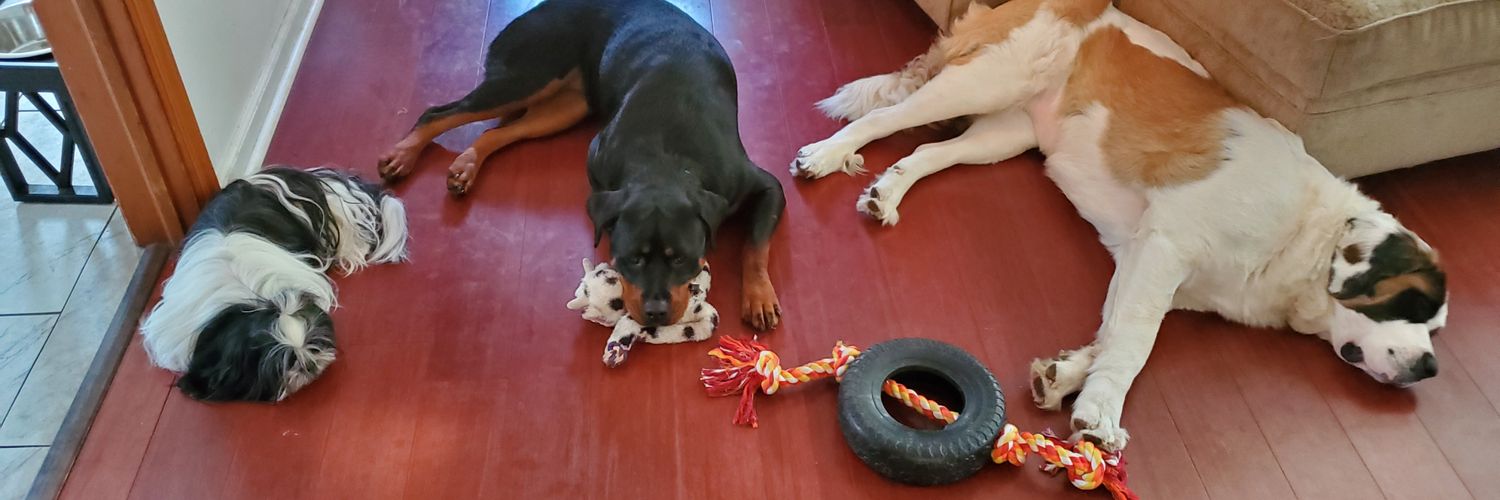 MackenzieDrew11's profile banner image