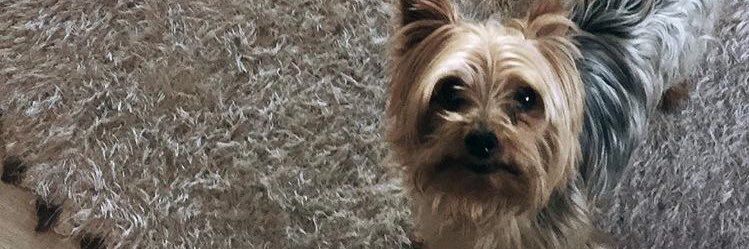 dudaavicente_'s profile banner image