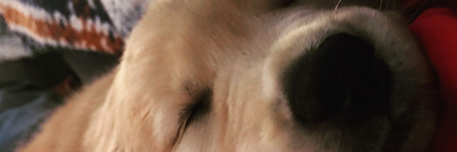 McQuattR's profile banner image