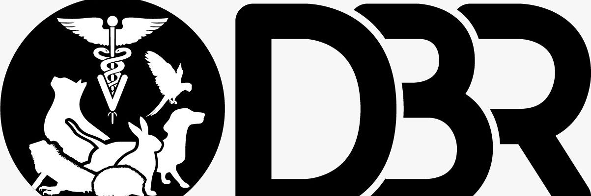 diieg0br's profile banner image
