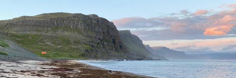 Siggi Hilmarsson banner