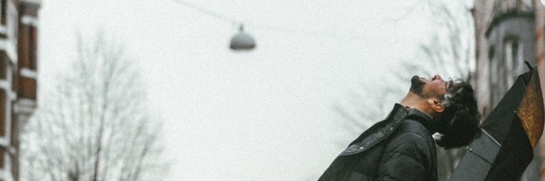 Rooster banner